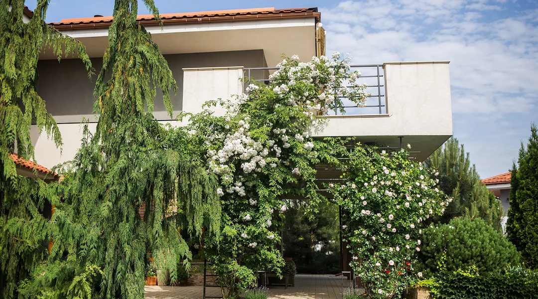 Maison blanche avec un balcon et un arbre, illustrant des services d'experts en abattage d'arbres.