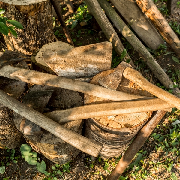 stump-removal-versus-stump-grinding